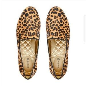 Cheetah starling birdies 9.5